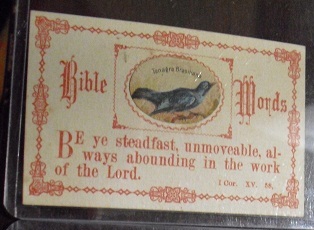 Late 1800s Bible Words Motto Trade Card