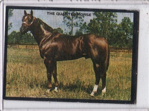 1974 Kellogg's Sugar Pops Quarter Horse Sticker Card