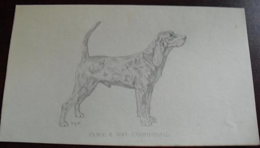 Vintage Black & Tan Coonhound Graphite Drawing