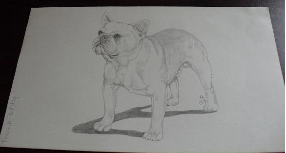 Vintage French Bulldog Graphite Drawing #2