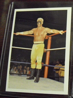 1980s NWA Wrestling Card - Sting #194