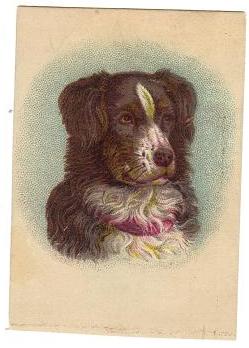 1800s Victorian Trade Card Lassie Dog