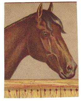 1880s Victorian Trade Card - Horse Head Very Unique