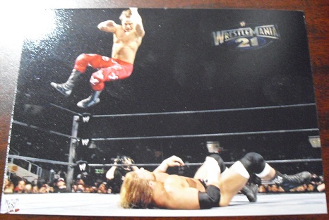 Wrestling 5x7 Photograph - Wrestlemania Triple H