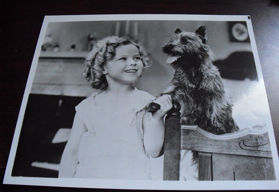 Shirley Temple with Dog 8x10 Photograph