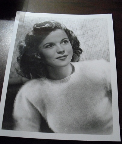Shirley Temple in Sweater 8x10 Photograph