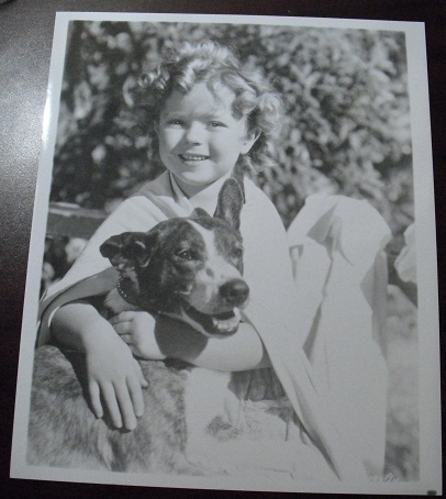 Shirley Temple with Dog 8x10 Photograph