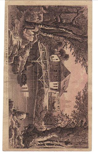 1882 Victorian Trade Card - Abbey's Cutavaco Medicine