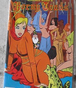 1990s Eros Comix Adult Comic Book - Horny Toads #1