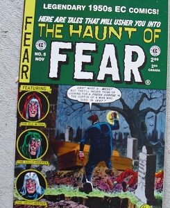 1993 EC Comic - The Haunt of Fear #5