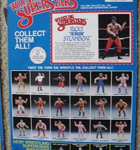 1980s LJN Full Bio Card Ricky "The Dragon" Steamboat