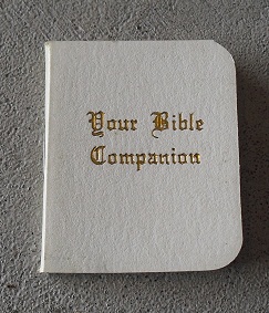 Miniature Your Bible Companion Book