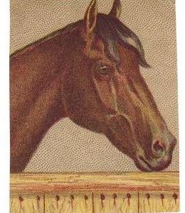 1880s Victorian Trade Card - Horse Head Very Unique