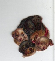 Victorian Diecut of 4 Puppies - Very Unique