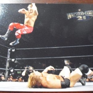 Wrestling 5x7 Photograph - Wrestlemania Triple H