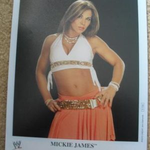 WWE/WWF Wrestling Diva Press Photograph Mickie James