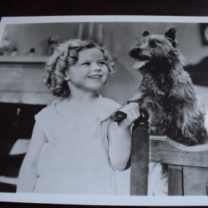 Shirley Temple with Dog 8x10 Photograph