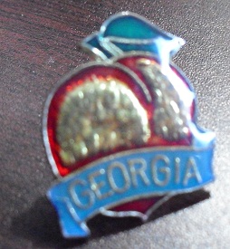 Modern Georgia Peach Metal Pinback