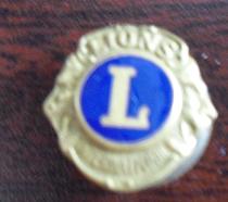 Vintage Lions International Award Pin